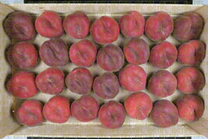 Fiches variétales Pêches Nectarines - Variété Flatbuzz, pêche plate à chair blanche (plateau)